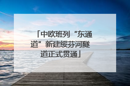 中欧班列“东通道”新建绥芬河隧道正式贯通