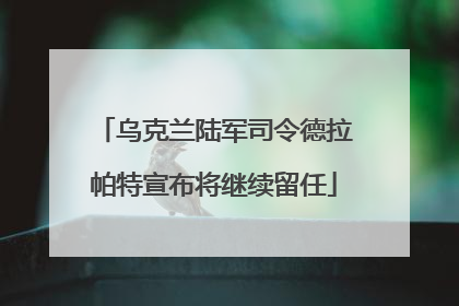 乌克兰陆军司令德拉帕特宣布将继续留任