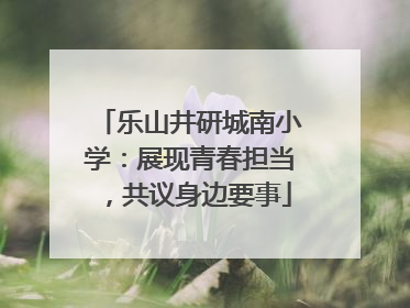 乐山井研城南小学：展现青春担当，共议身边要事