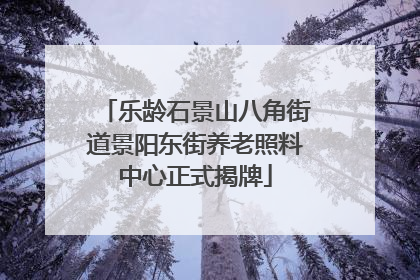 乐龄石景山八角街道景阳东街养老照料中心正式揭牌