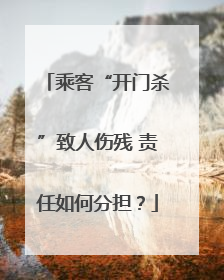 乘客“开门杀”致人伤残 责任如何分担？