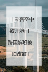 乘客空中欲开舱门 跨国航班被迫改道