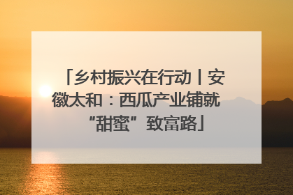 乡村振兴在行动丨安徽太和：西瓜产业铺就“甜蜜”致富路