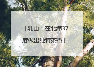乳山：在北纬37度做出独特茶香