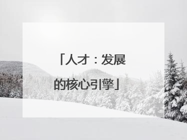 人才：发展的核心引擎