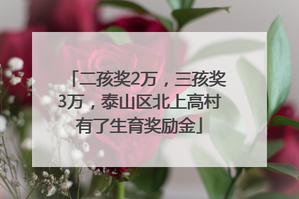 二孩奖2万，三孩奖3万，泰山区北上高村有了生育奖励金