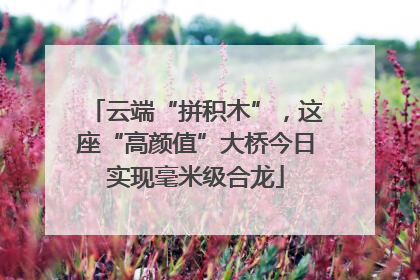云端“拼积木”，这座“高颜值”大桥今日实现毫米级合龙
