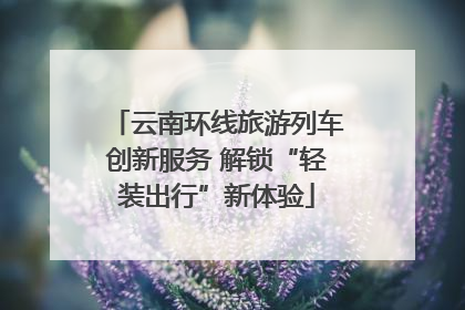 云南环线旅游列车创新服务 解锁“轻装出行”新体验