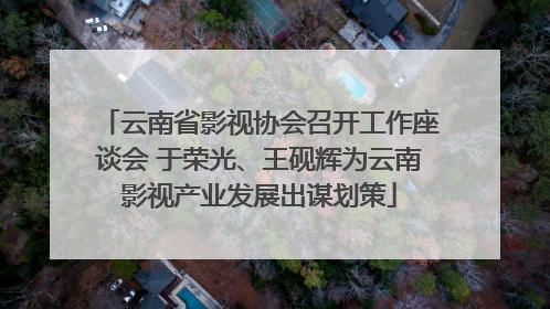 云南省影视协会召开工作座谈会 于荣光、王砚辉为云南影视产业发展出谋划策