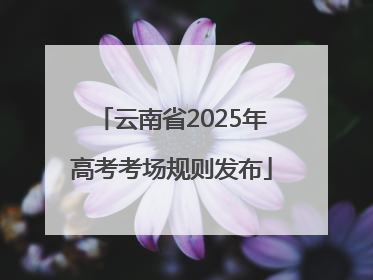 云南省2025年高考考场规则发布