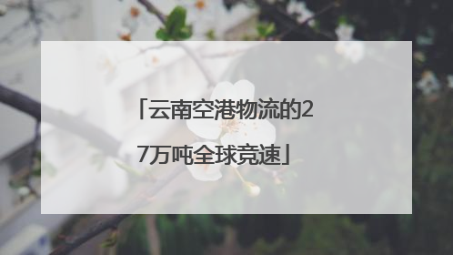 云南空港物流的27万吨全球竞速