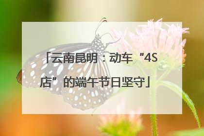 云南昆明：动车“4S店”的端午节日坚守