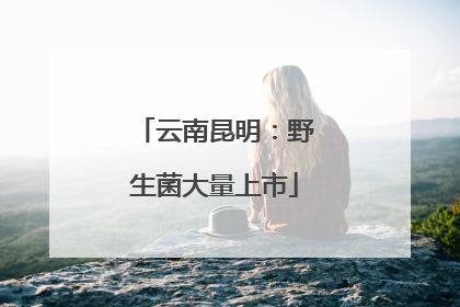 云南昆明：野生菌大量上市