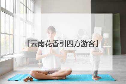云南花香引四方游客