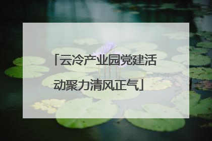 云冷产业园党建活动聚力清风正气