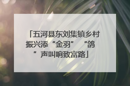 五河县东刘集镇乡村振兴添“金羽” “鸽”声叫响致富路