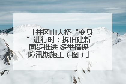 井冈山大桥“变身”进行时：拆旧建新同步推进 多举措保障汛期施工（图）