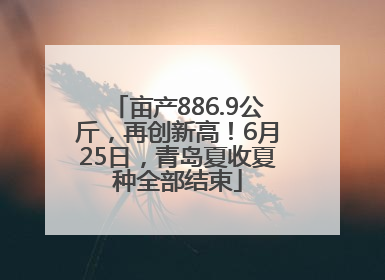 亩产886.9公斤，再创新高！6月25日，青岛夏收夏种全部结束
