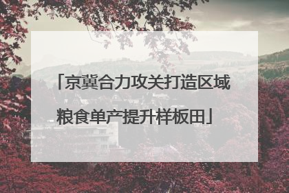 京冀合力攻关打造区域粮食单产提升样板田