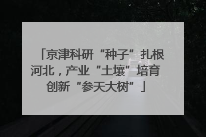 京津科研“种子”扎根河北，产业“土壤”培育创新“参天大树”