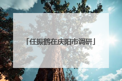 任振鹤在庆阳市调研
