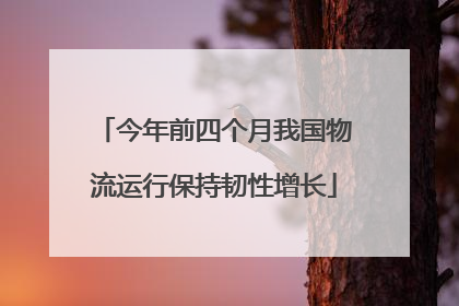 今年前四个月我国物流运行保持韧性增长