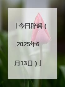 今日辟谣（2025年6月13日）