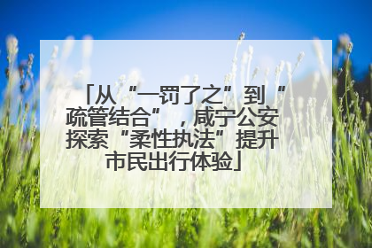 从“一罚了之”到“疏管结合”，咸宁公安探索“柔性执法”提升市民出行体验