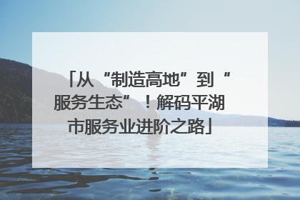 从“制造高地”到“服务生态”！解码平湖市服务业进阶之路