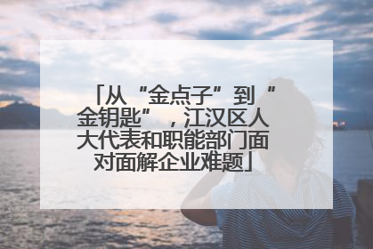 从“金点子”到“金钥匙”，江汉区人大代表和职能部门面对面解企业难题