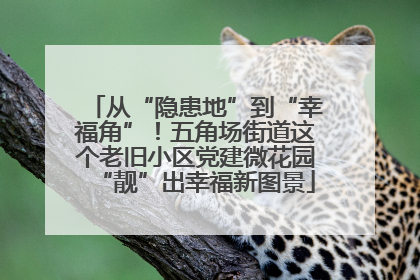 从“隐患地”到“幸福角”！五角场街道这个老旧小区党建微花园“靓”出幸福新图景