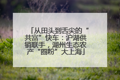 从田头到舌尖的“共富”快车：沪湖供销联手，湖州生态农产“圈粉”大上海