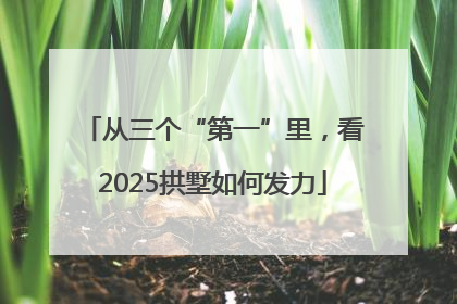 从三个“第一”里，看2025拱墅如何发力
