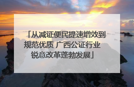 从减证便民提速增效到规范优质 广西公证行业锐意改革蓬勃发展
