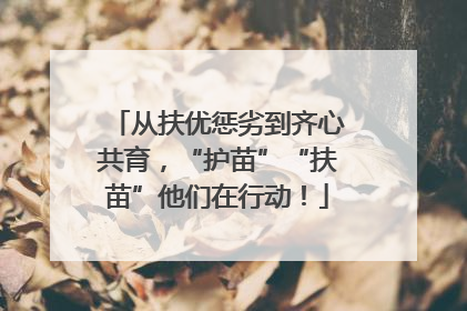 从扶优惩劣到齐心共育，“护苗”“扶苗”他们在行动！