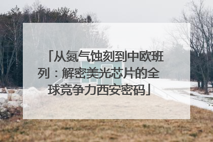 从氮气蚀刻到中欧班列：解密美光芯片的全球竞争力西安密码