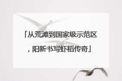 从荒滩到国家级示范区，阳新书写虾稻传奇