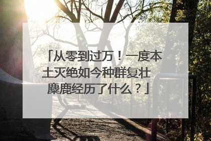 从零到过万！一度本土灭绝如今种群复壮 麋鹿经历了什么？