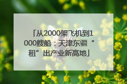 从2000架飞机到1000艘船：天津东疆“租”出产业新高地
