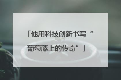 他用科技创新书写“葡萄藤上的传奇”