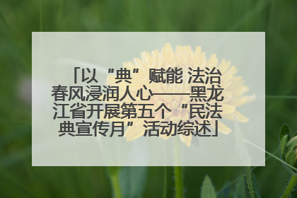 以“典”赋能 法治春风浸润人心——黑龙江省开展第五个“民法典宣传月”活动综述