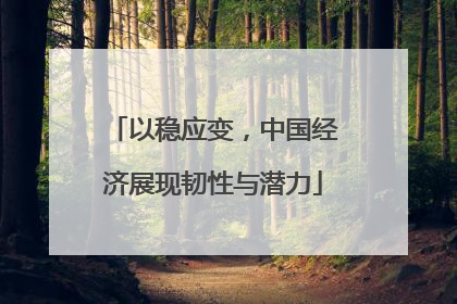 以稳应变，中国经济展现韧性与潜力