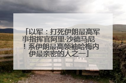 以军：打死伊朗最高军事指挥官阿里·沙德马尼！系伊朗最高领袖哈梅内伊最亲密的人之一