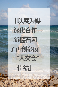 以展为媒 深化合作 新疆石河子再创参展“大交会”佳绩
