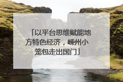 以平台思维赋能地方特色经济，嵊州小笼包走出国门