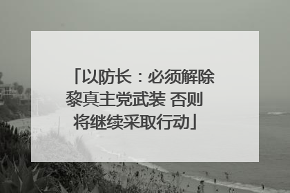 以防长：必须解除黎真主党武装 否则将继续采取行动