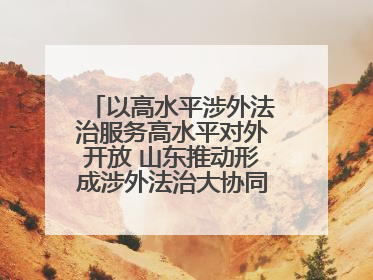 以高水平涉外法治服务高水平对外开放 山东推动形成涉外法治大协同工作格局