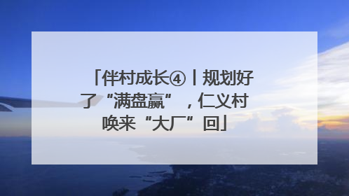 伴村成长④丨规划好了“满盘赢”，仁义村唤来“大厂”回
