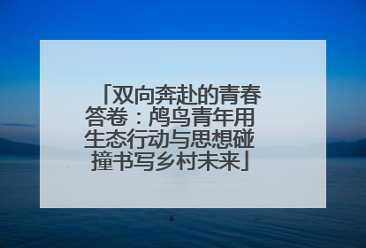 双向奔赴的青春答卷：鸬鸟青年用生态行动与思想碰撞书写乡村未来