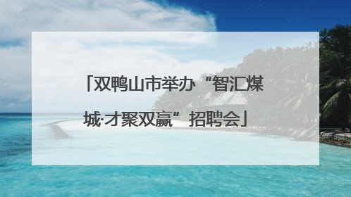 双鸭山市举办“智汇煤城·才聚双赢”招聘会